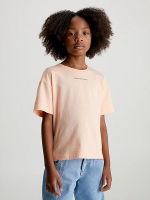 Orange Calvin Klein Organic Cotton Boxy Girls's T-Shirt | YHVN-81056