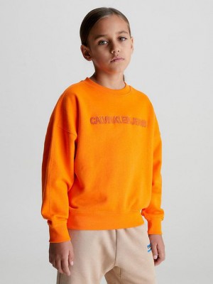 Orange Calvin Klein Relaxed Logo Boys's Sweatshirt | WVQT-43196