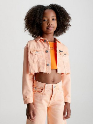 Pink Calvin Klein Cropped Denim Girls's Jacket | XBNS-05942