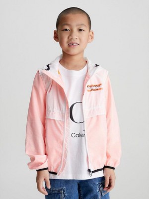 Pink Calvin Klein Layered Boys's Jacket | DUIV-35612