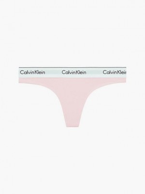 Pink Calvin Klein Modern Cotton Women Thong | AEGU-67321