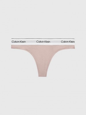 Pink Calvin Klein Modern Cotton Women Thong | TKSZ-93864