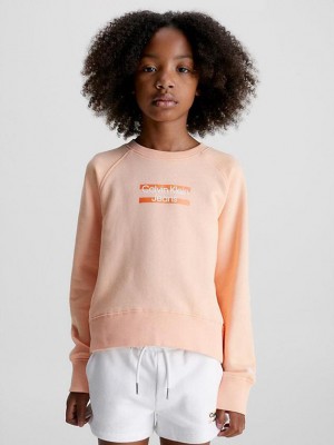 Pink Calvin Klein Organic Cotton Logo Girls's Sweatshirt | QYSM-60428