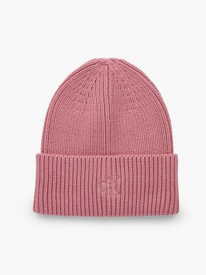 Pink Calvin Klein Organic Cotton Women Beanie | DVHN-27516