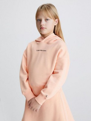 Pink Calvin Klein Oversized Girls's Hoodie | AQZD-18375