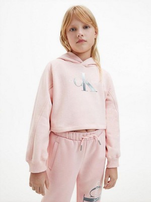 Pink Calvin Klein Recycled Polyester Cropped Girls's Hoodie | QDJL-80597