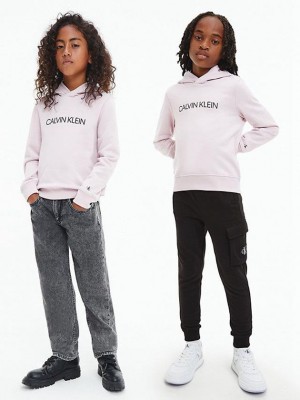 Pink Calvin Klein Unisex Logo Girls's Hoodie | EMIO-17253