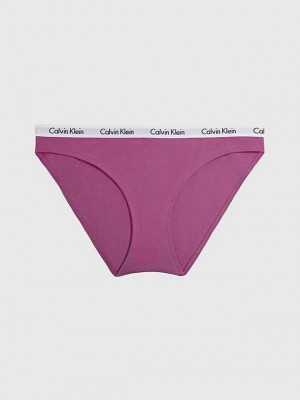 Purple Calvin Klein Bikini - Carousel Women Briefs | ZIBU-86014