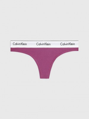 Purple Calvin Klein Modern Cotton Women Thong | FOMD-80937