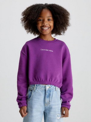 Purple Calvin Klein Relaxed Logo Girls's Sweatshirt | YRCA-47852