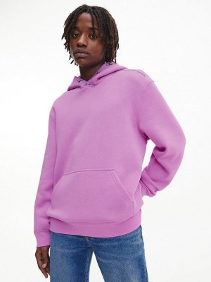 Purple Calvin Klein Relaxed Logo Tape Men Hoodie | SDVE-04923