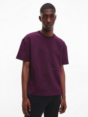Purple Calvin Klein Relaxed Organic Cotton Men T-Shirt | MQZP-57240
