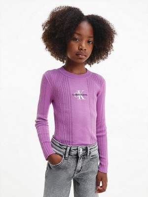 Purple Calvin Klein Slim Ribbed Logo Jumper Girls's Sweater | XFYK-34219