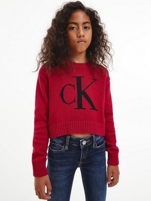 Red Calvin Klein Organic Cotton Logo Jumper Girls's Sweater | VYLJ-62759