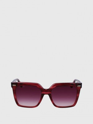 Red Calvin Klein Square Women Sunglasses | INBR-45126
