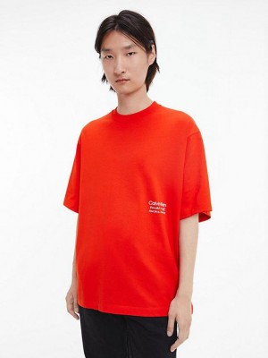Red Calvin Klein Unisex Printed - CK Standards Men T-Shirt | AFBR-52394