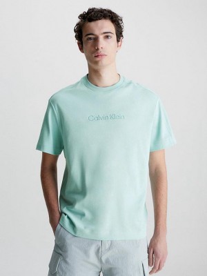 Turquoise Calvin Klein Organic Cotton Men T-Shirt | KCSP-46053