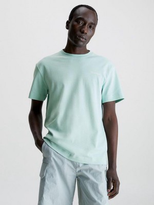 Turquoise Calvin Klein Organic Cotton Men T-Shirt | RZBN-08127