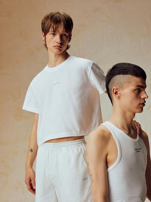 White Calvin Klein Cropped Logo - Pride Men T-Shirt | SMZC-76259