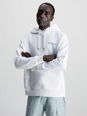 White Calvin Klein Organic Cotton Logo Men Hoodie | TFAH-40895