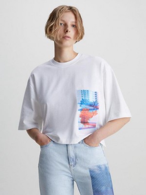 White Calvin Klein Relaxed Embroidered Women T-Shirt | RUBL-27031
