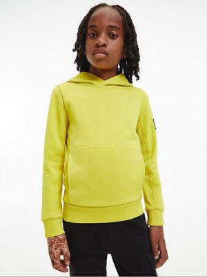 Yellow Calvin Klein Peached Terry Boys's Hoodie | KZGI-82370