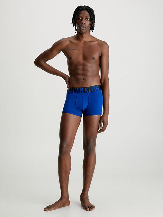 Blue Calvin Klein 2 Pack - Intense Power Men Briefs | JVWQ-54120