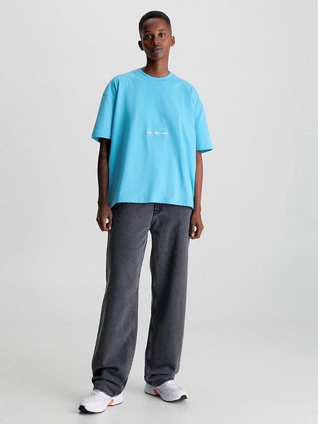 Blue Calvin Klein Boyfriend Logo Women T-Shirt | SJCI-04861