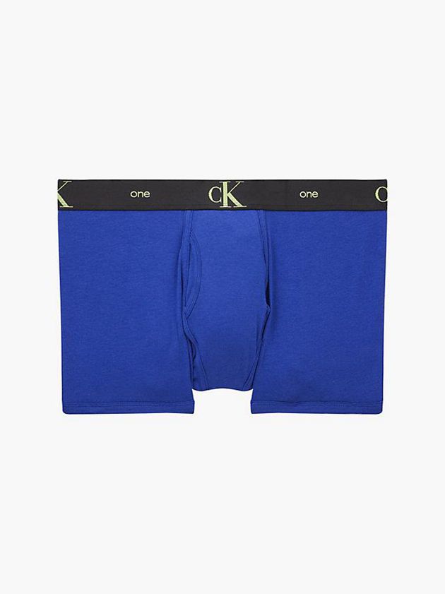Blue Calvin Klein CK One Men Briefs | VLMI-35942
