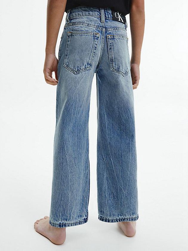 Blue Calvin Klein Mid Rise Skater Boys's Jeans | ZSIB-34265