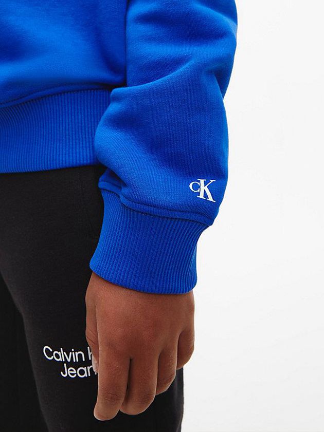 Blue Calvin Klein Organic Cotton Boys's Hoodie | BMWR-09253