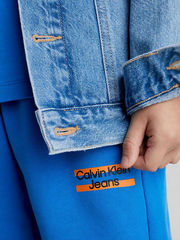 Blue Calvin Klein Organic Cotton Jogger Boys's Shorts | ZWVO-84902