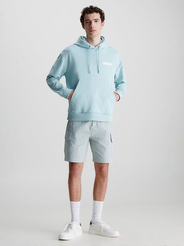 Blue Calvin Klein Organic Cotton Logo Men Hoodie | HMYZ-29531