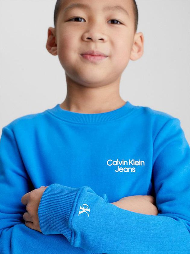 Blue Calvin Klein Organic Cotton Terry Boys's Sweatshirt | TRBY-28067