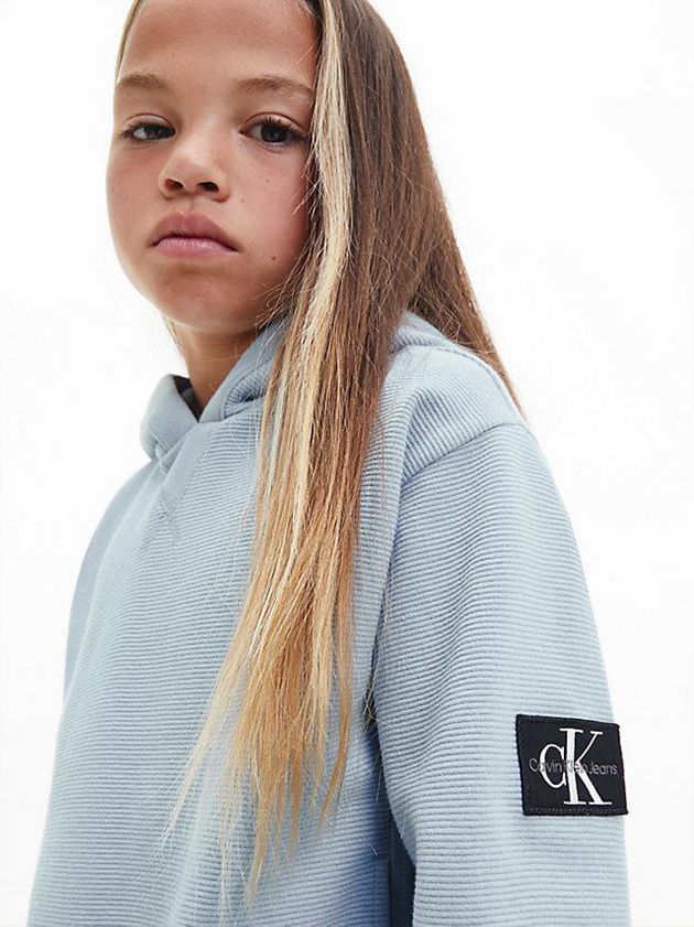 Blue Calvin Klein Textured Boys's Hoodie | XSVM-20459