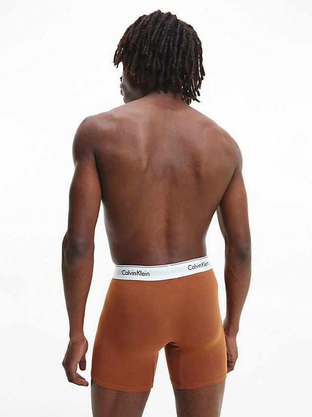 Brown Calvin Klein 3 Pack - Modern Cotton Men Briefs | XGZK-05263