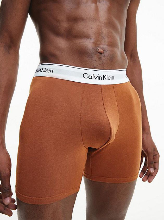 Brown Calvin Klein 3 Pack - Modern Cotton Men Briefs | XGZK-05263