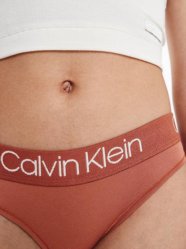 Brown Calvin Klein Bikini - Body Women Briefs | LQUN-78590