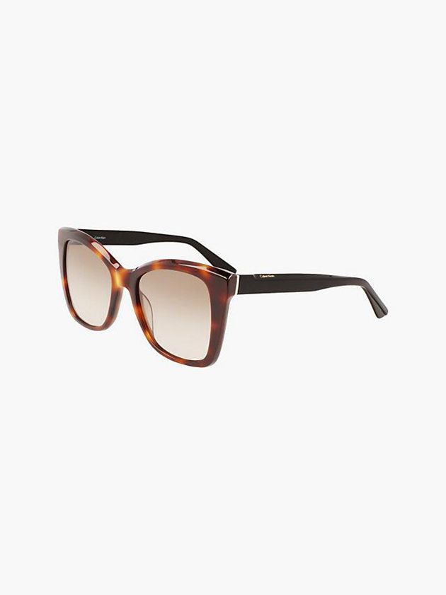 Brown Calvin Klein Butterfly Women Sunglasses | ODCS-31508