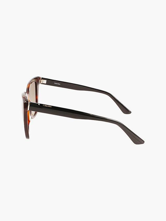 Brown Calvin Klein Butterfly Women Sunglasses | ODCS-31508