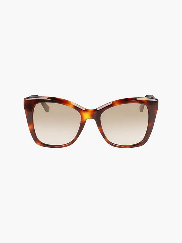 Brown Calvin Klein Butterfly Women Sunglasses | ODCS-31508