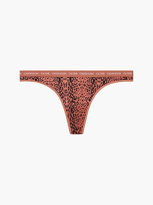 Brown Calvin Klein CK One Women Thong | DHGU-70254