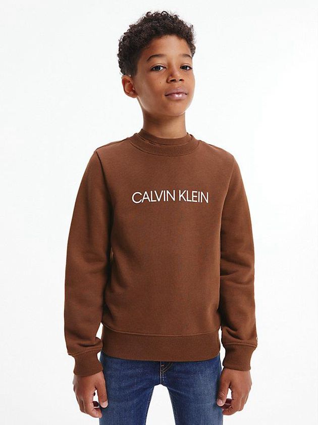 Brown Calvin Klein Logo Boys's Sweatshirt | NATM-27041