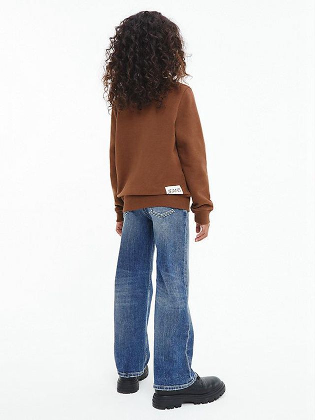 Brown Calvin Klein Logo Boys's Sweatshirt | NATM-27041