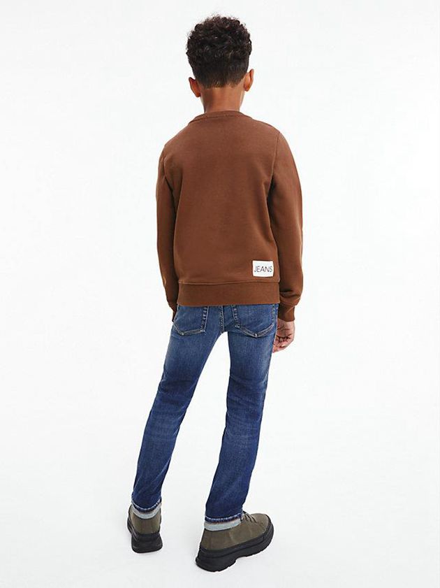 Brown Calvin Klein Logo Boys's Sweatshirt | NATM-27041