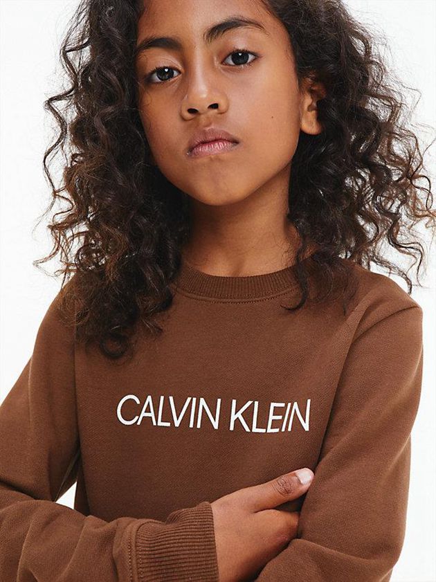Brown Calvin Klein Logo Boys's Sweatshirt | NATM-27041
