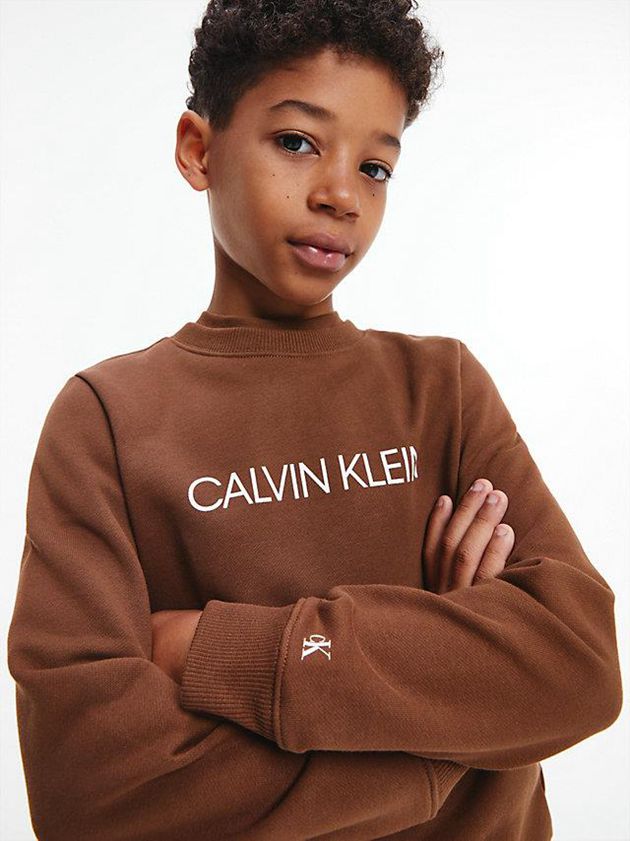 Brown Calvin Klein Logo Boys's Sweatshirt | NATM-27041