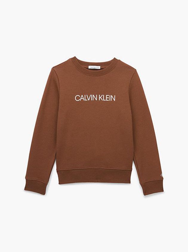 Brown Calvin Klein Logo Boys's Sweatshirt | NATM-27041