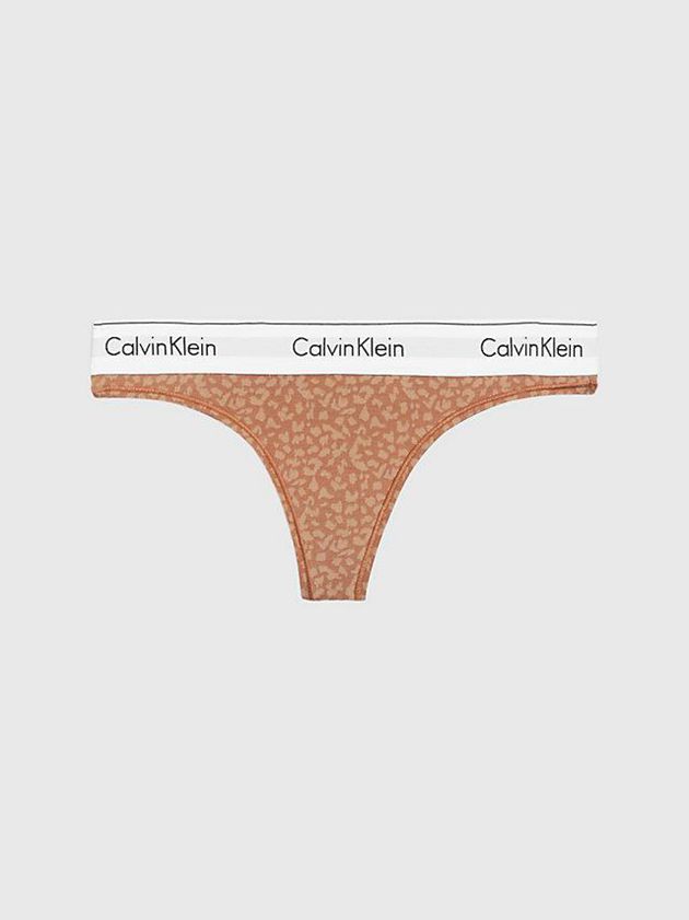 Brown Calvin Klein Modern Cotton Women Thong | PUDG-73240