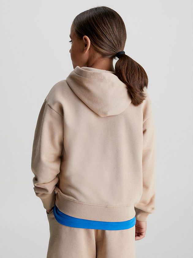 Brown Calvin Klein Organic Cotton Logo Boys's Hoodie | WKFQ-38297